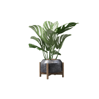 Money Back Guarantee